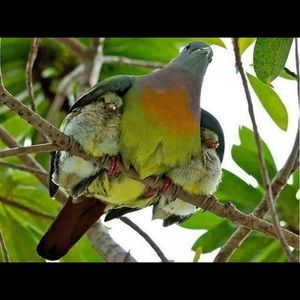 Meet your Posher, Saida